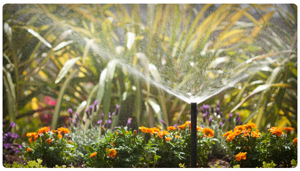 Toberas Ajustables Pro - Imagen 4