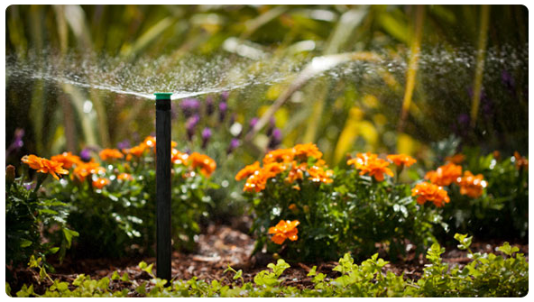 Toberas Ajustables Pro - Imagen 3