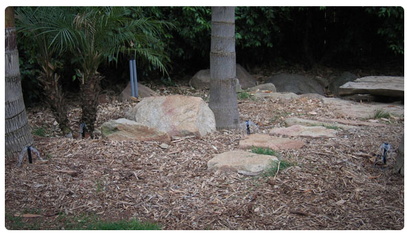 Inundadores - Imagen 4