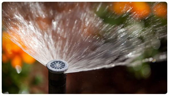 Toberas Ajustables Pro - Imagen 2