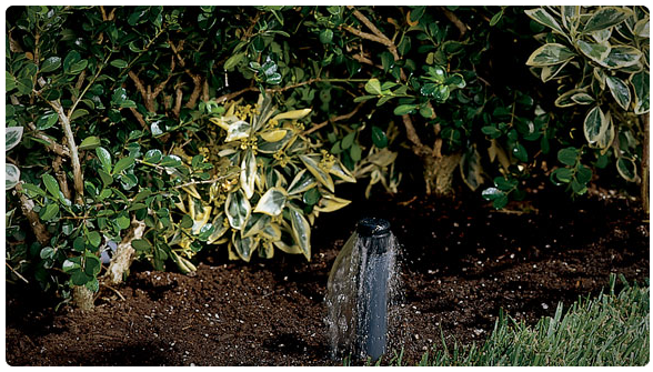 Inundadores - Imagen 3