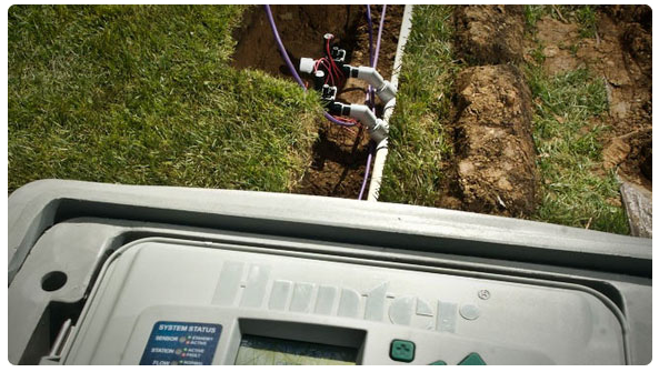 Controlador Hunter Dual para I-CORE - Imagen 2